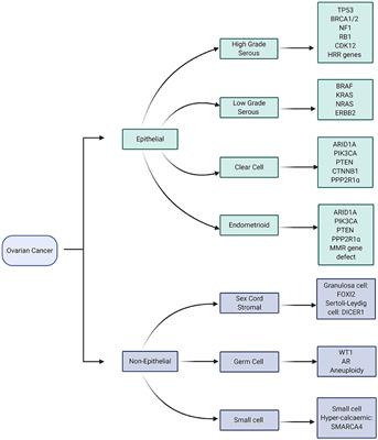 Non-invasive Technology Advances in Cancer—A Review of the Advances in the Liquid Biopsy for Endometrial and Ovarian Cancers